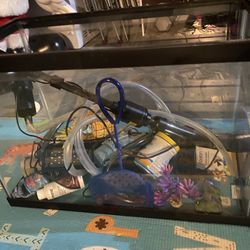 20 Gallon Fish Tank