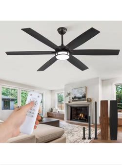 65 in. Indoor Black Downrod/Angled Mount 6-Speed Ceiling Fan with 3-Color Light Kit, Dual-Finish Blades, Remote Contro