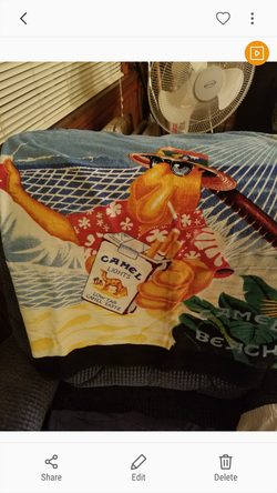 Joe Camel in beach hammock
