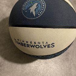 Timberwolves Outdoor Basketball