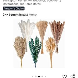 Pampas Grass Decor, Naturally Dried Pompas, Bunny Tails Dried Flowers, and dried eucalyptus. Perfect for Weddings, Boho Party Decorations. and Table D