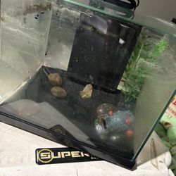 5 Gallon Fish Tank