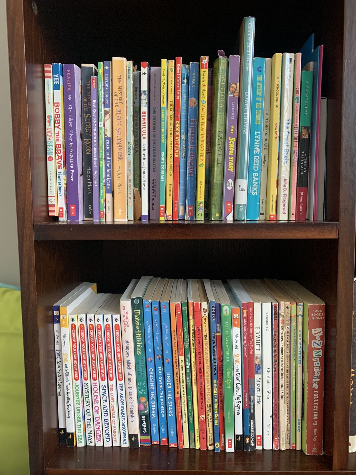 500 Kids Books!  Level Pre-K To 5th Grade!
