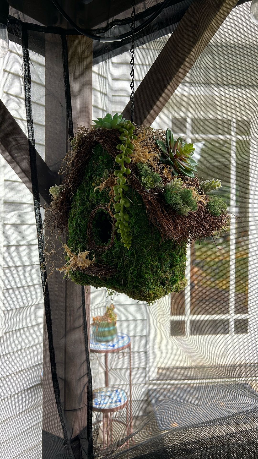 Birdhouse Moss. Faux Succulents