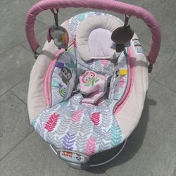 Bright Starts Baby Bouncer 