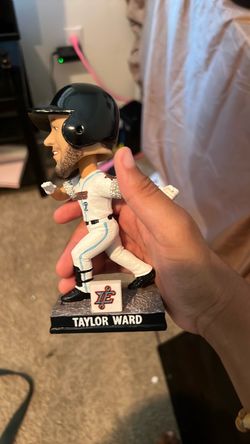 Taylor ward