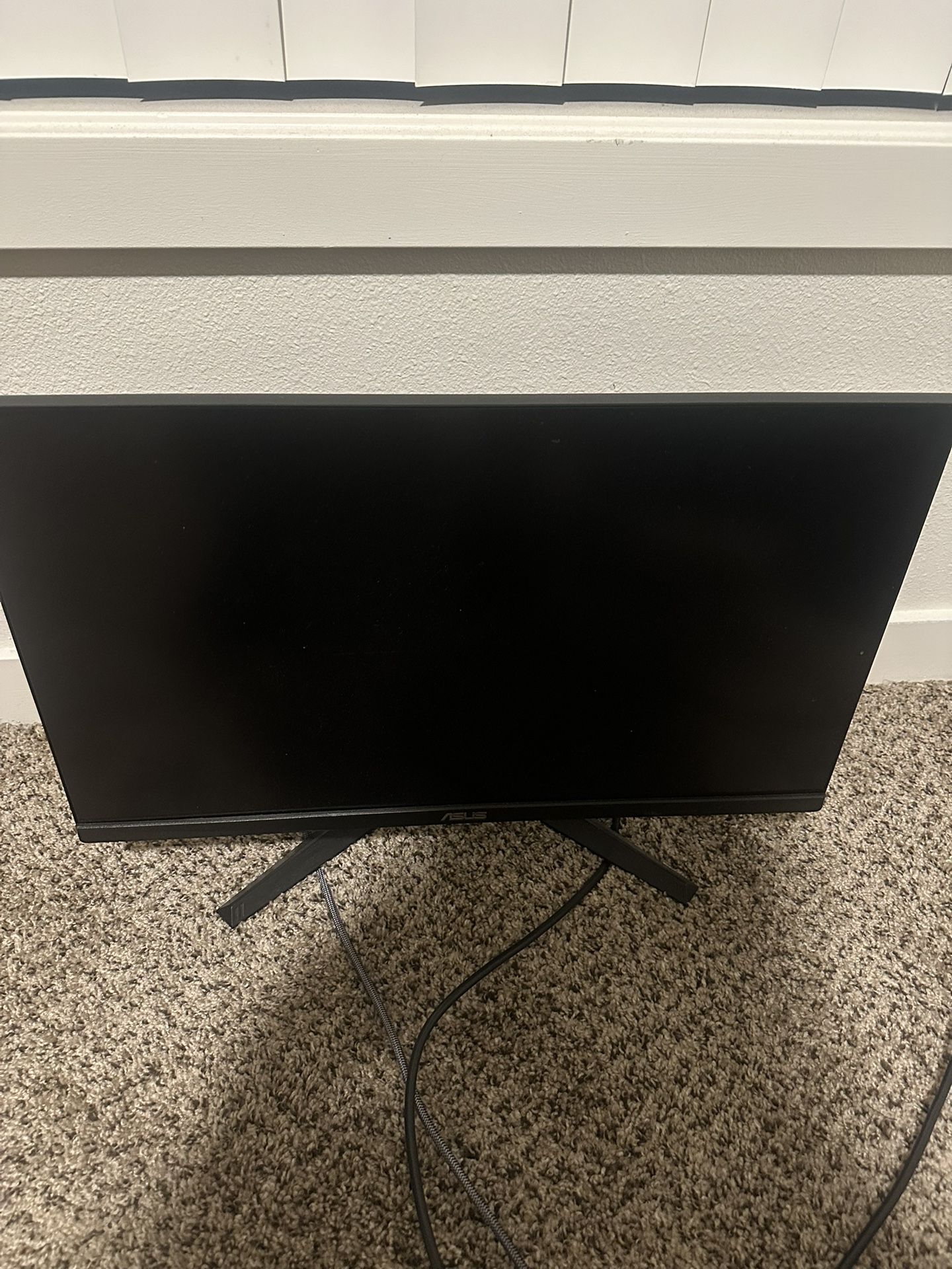 Asus Monitor