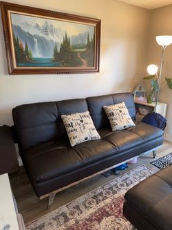 Costco Eurolounger with Ottoman