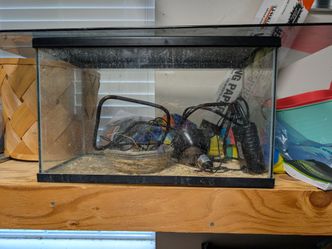 Reptile enclosure