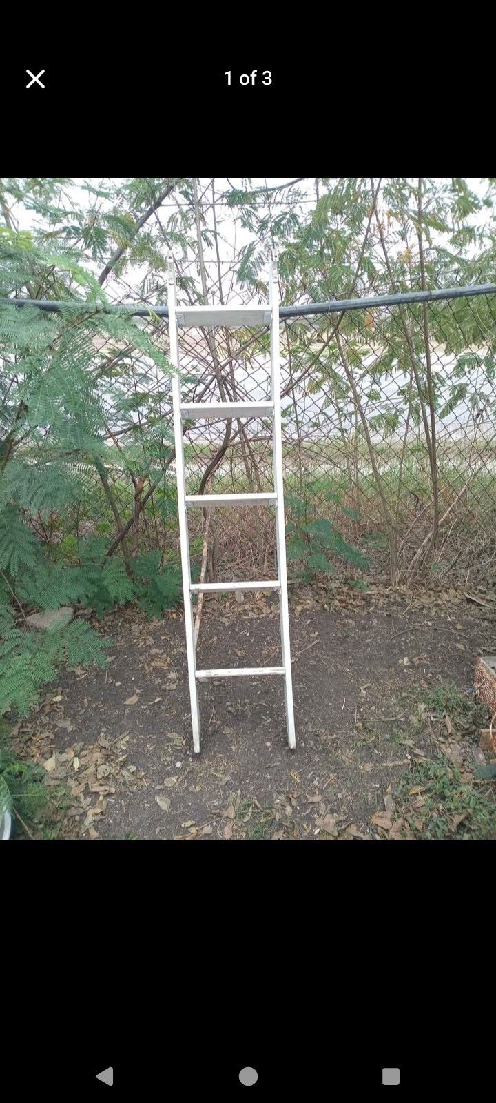 Ladder