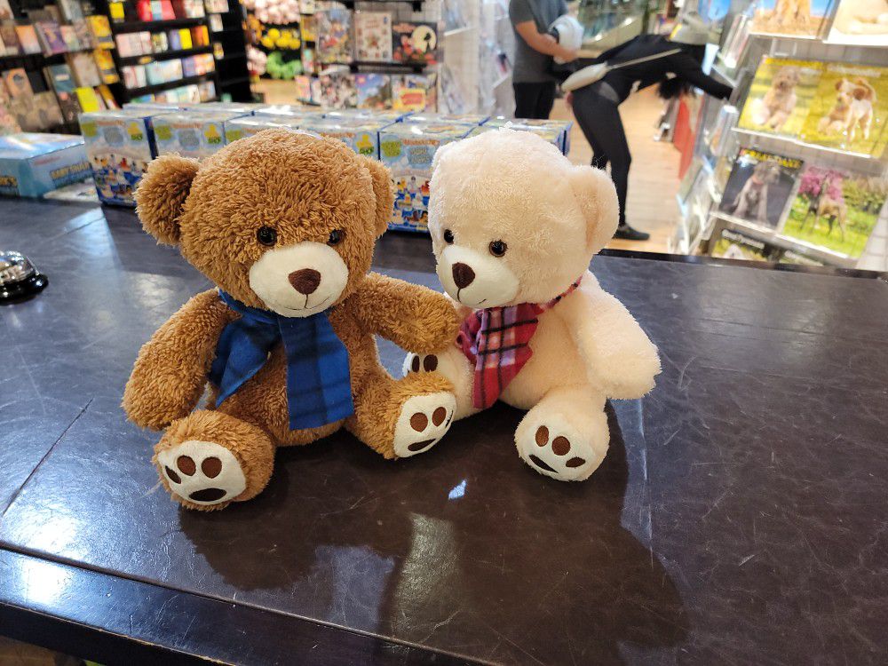Small New Teddies Looking For Forever Home