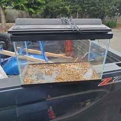 Fish /Reptile Tank 