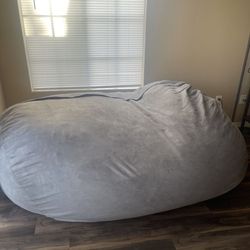 Big Bean Bag