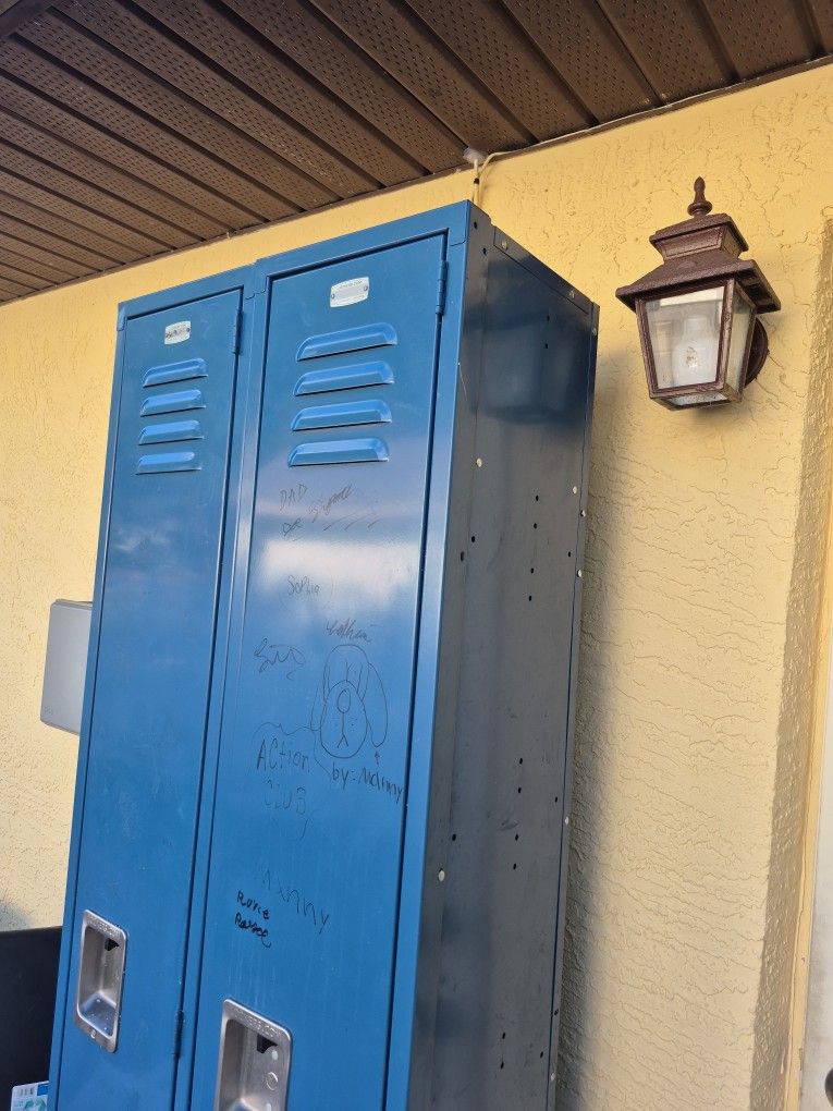 Double metal cabinet