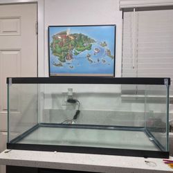 40 Gallon Glass Fish Tank