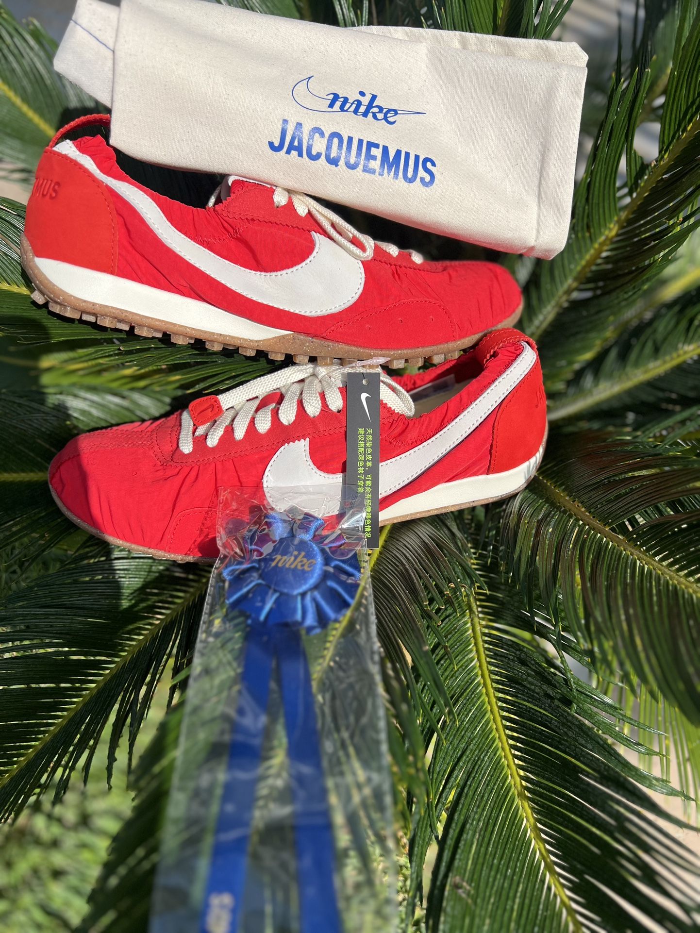 Nike W Jacques Moon Shoe SP