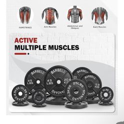 Weight Bench + 2” Barbell 7 Ft, PLUS Weight Plates