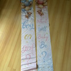 Gender Reveal Teddy Bear 