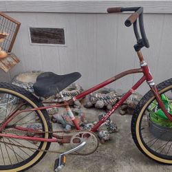 Custom Schwinn Cruiser 