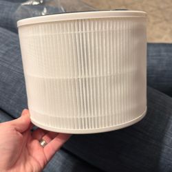 Replacement Filter Levoit 300