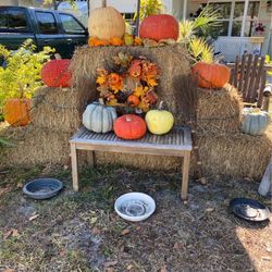 Hay & Pumpkins.  FREE 