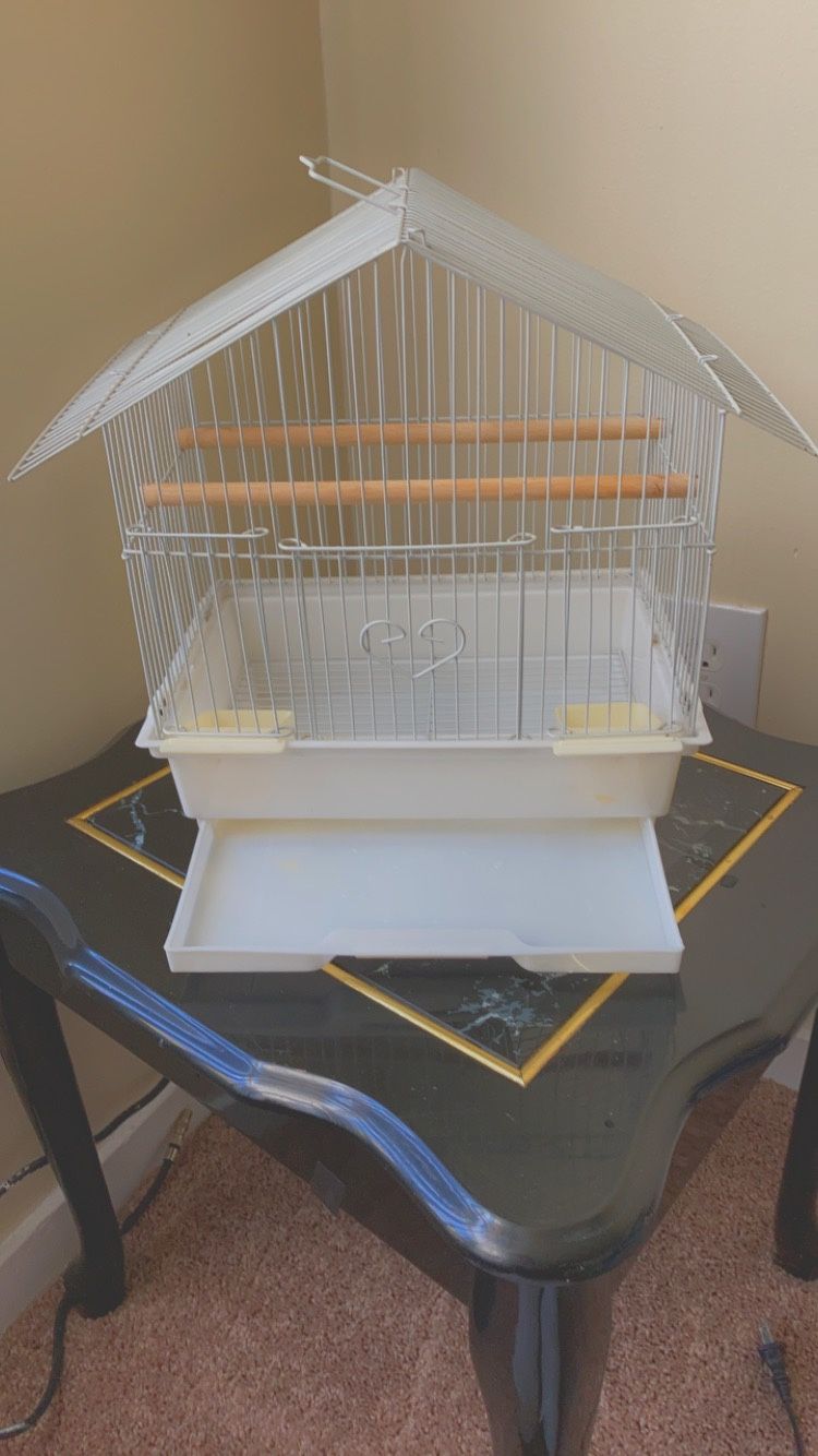 Adorable Bird Cage