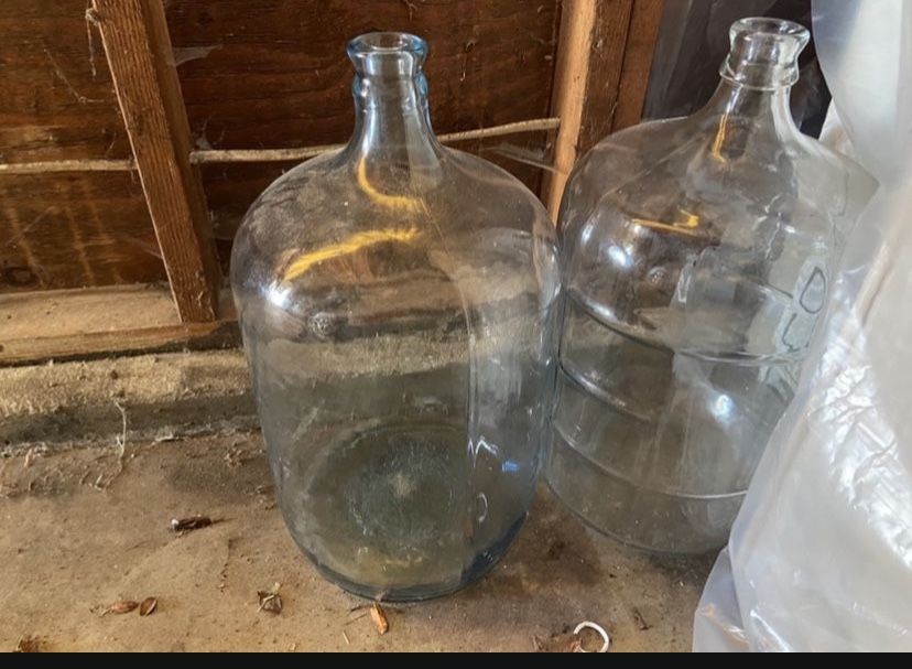 Two 5 Gallon Glass Carboys