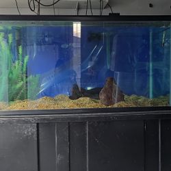 150 Gallon  Fish Tank  with  Stand