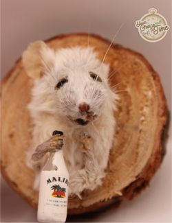 Taxidermy set of mice wall mount