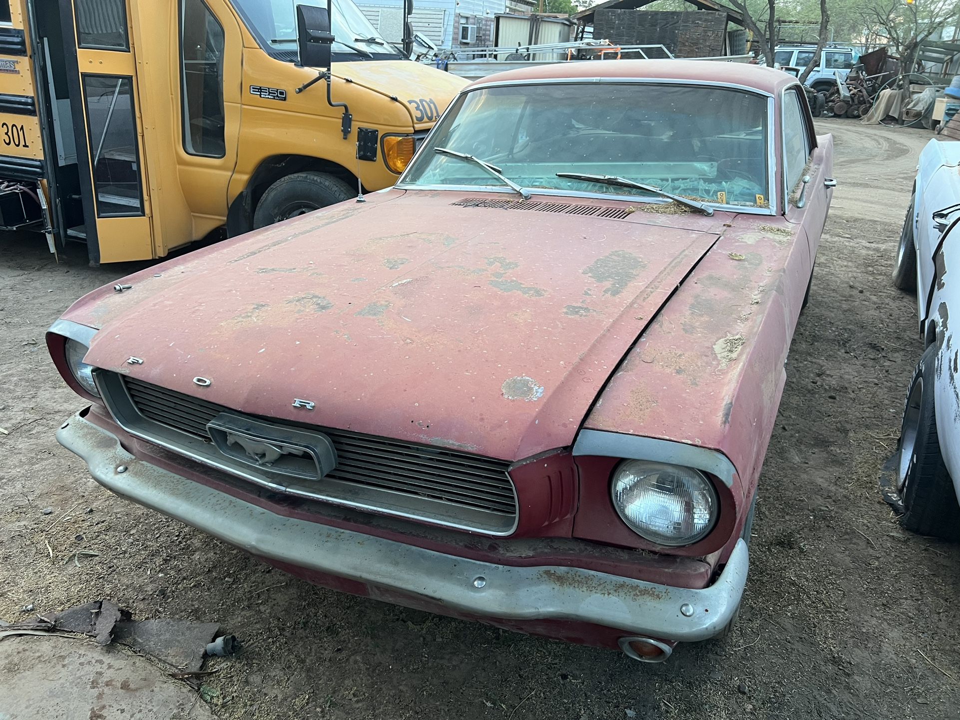 1966 Ford Mustang