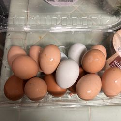 Fresh Eggs Unwashed 