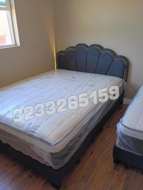 New Bed And Mattress