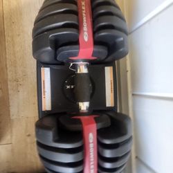 Bowflex Adjustable Dumbbell 