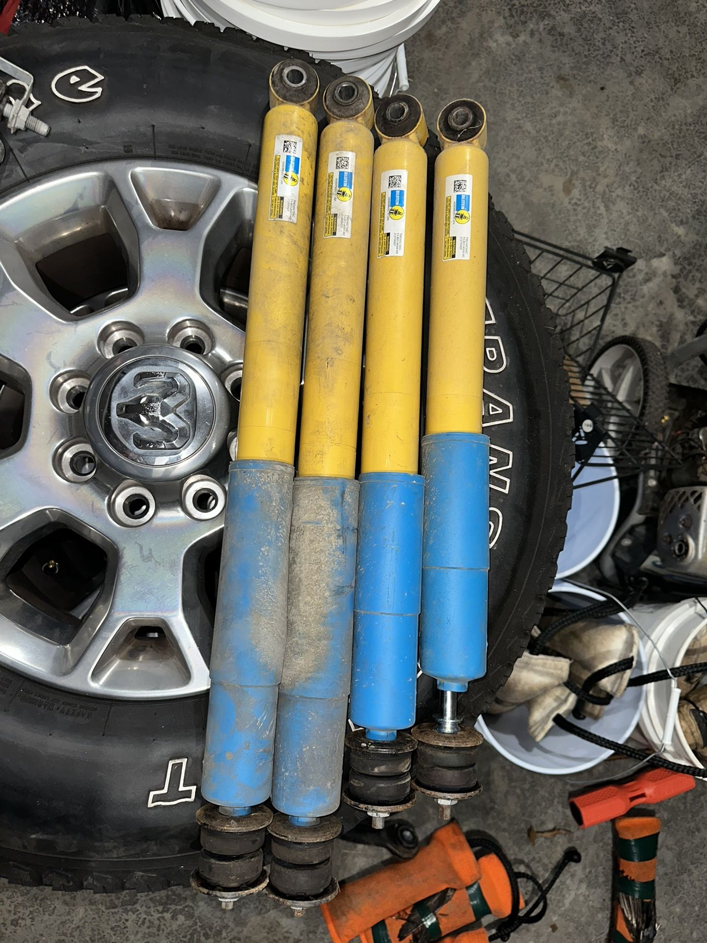 Bilstein Shocks