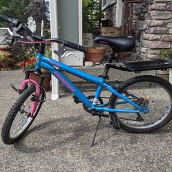 Mongoose Mountain Kids Bike