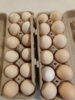 Organic Brown Chicken Eggs