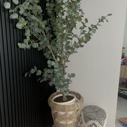 Artificial Eucalyptus Tree in Woven Basket Planter