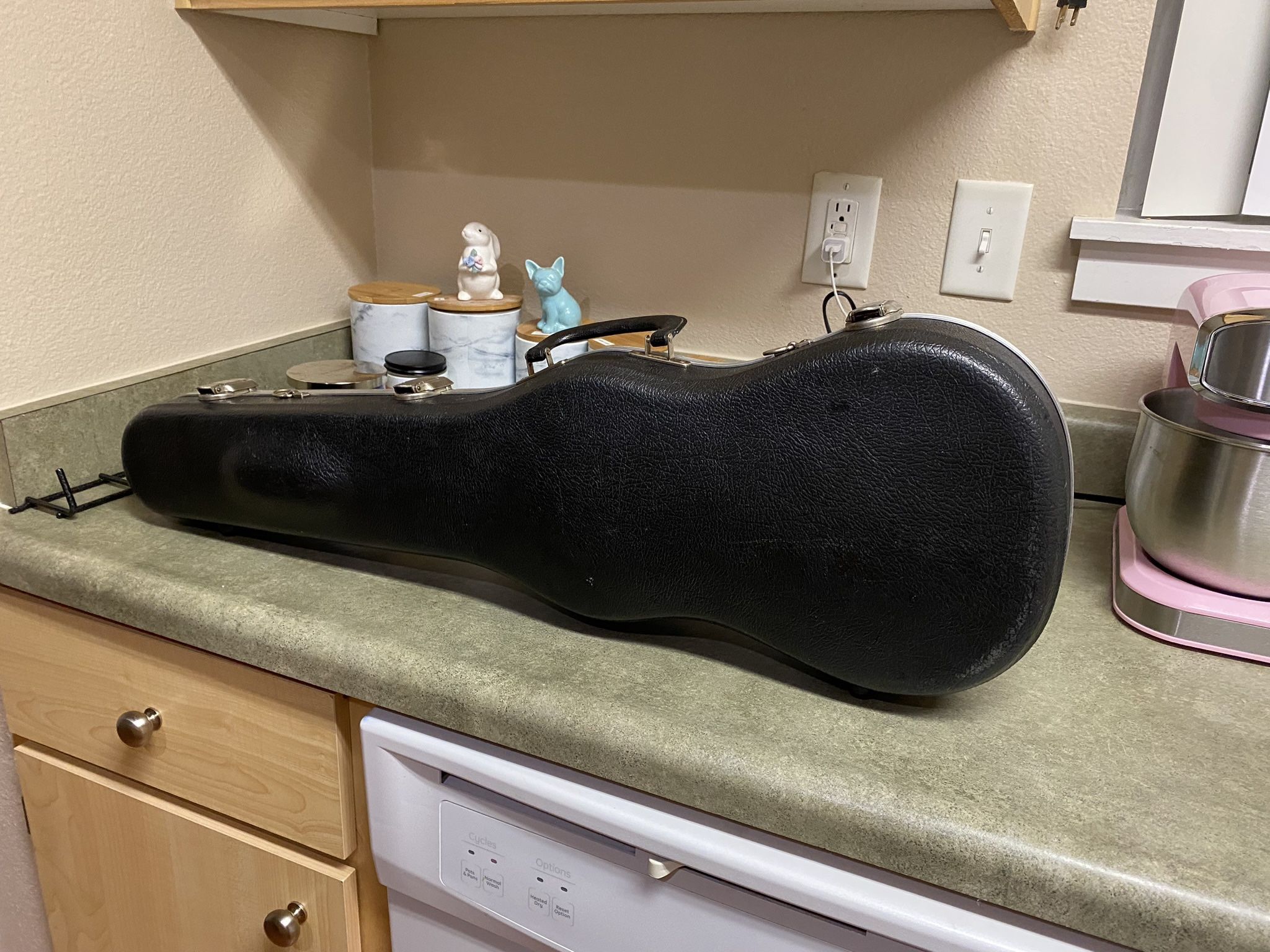 Violin Case ;P