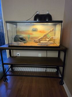 50 Gallon Glass Reptile Terrarium Setup + Heavy-Duty Stand & Accessories