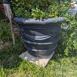 Large Cement Planter 