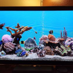 Samsung Tv