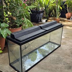 55-Gallon Aquarium Setup – Filter, Sand, Lights, Decorations & More!