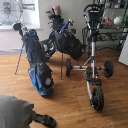 3 Bags And.cart Best Offer