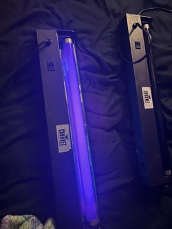 Black Light 