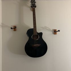 Guitar Model Apx500
