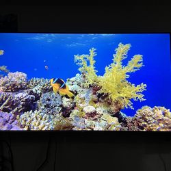 TCL 4K TV Roku (55 Inch) With Wall Mount Ready Only