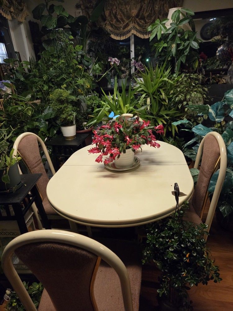 Beautiful Dining Set 