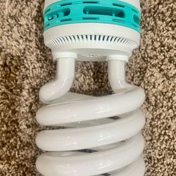 Photography Studio Spiral Bulbs
