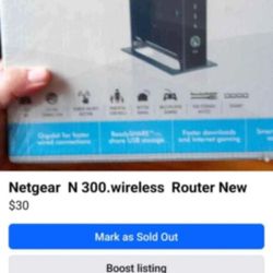 Netgear N 300 Wireless 