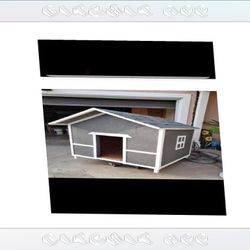 defense into Create the Perfect Dog Home - Fashion and Comfort Joined